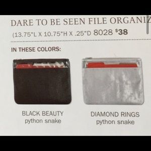 Thirty- One dare to be seen file holder